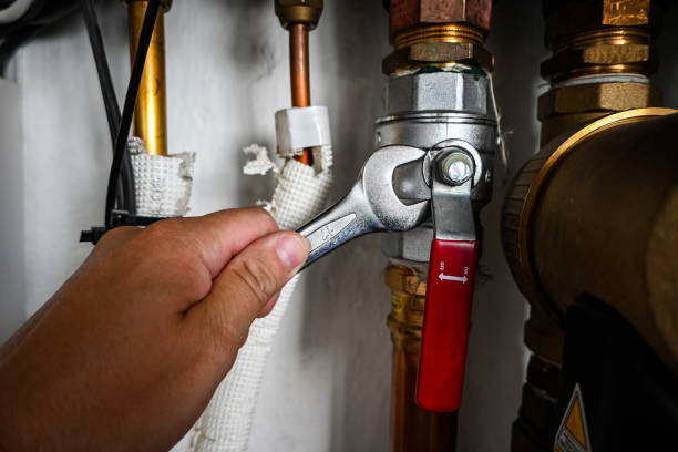 Best Sewer Cleaning Services  in Carlton, OR